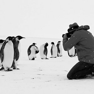 Photo Voyage au pôle sud