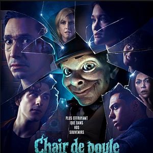 Photo Chair de poule