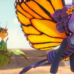 Photo Butterfly Tale