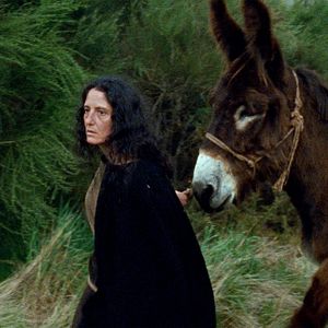 Photo Nuria Lestegás