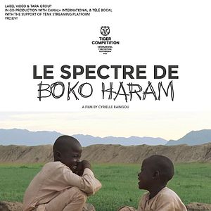 Photo Le Spectre de Boko Haram