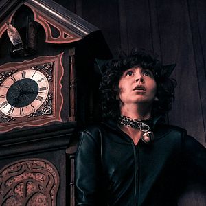 Photo Chair de poule