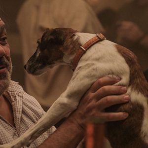 Photo Didier Bourdon