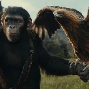 Photo La Planète des Singes : Le Nouveau Royaume