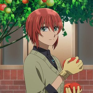 Photo The Ancient Magus' Bride
