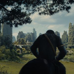Photo La Planète des Singes : Le Nouveau Royaume