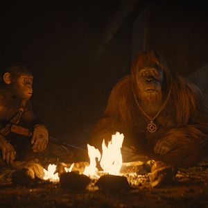 Photo La Planète des Singes : Le Nouveau Royaume
