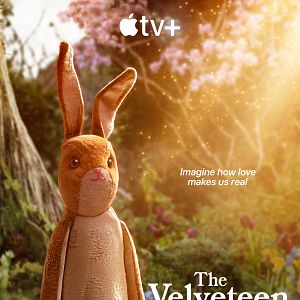 Photo Le Lapin de velours