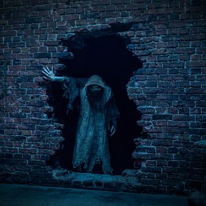 Photo Baghead