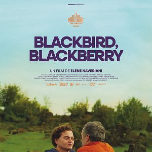 Photo Blackbird, Blackberry