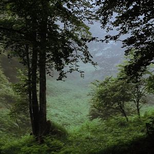 Photo A l'abri des activités humaines