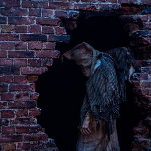 Photo Baghead