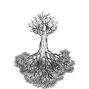 Photo The Mercy Tree - Drzewo Miłosierdzia -