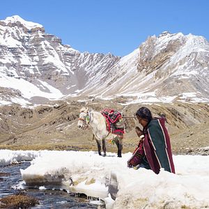 Photo Shambhala, le Royaume des cieux