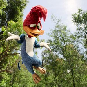 Photo Woody Woodpecker : Alerte en colo