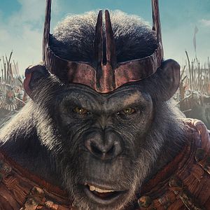 Photo La Planète des Singes : Le Nouveau Royaume