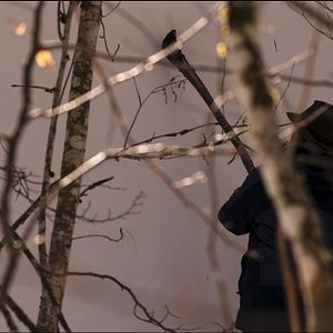 Photo Par-delà les silences