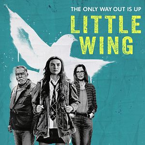 Photo Little Wing