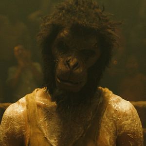 Photo Monkey Man