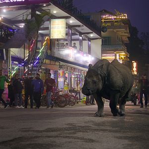 Photo Notre monde vivant