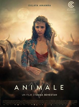 Bande-annonce Animale