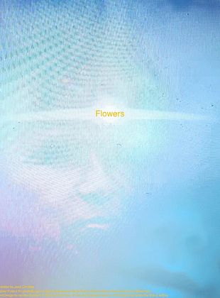 poster du film Flores