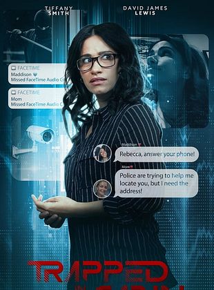 poster du film Le chalet des secrets