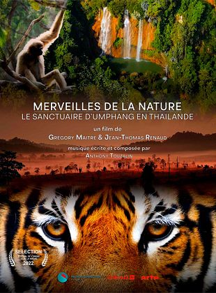 poster du film Merveilles de la nature - Le Sanctuaire d'Umphang en Thaïlande