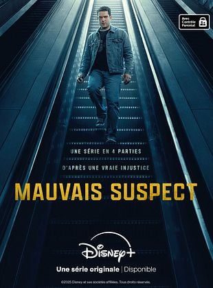 poster de la série Mauvais suspect