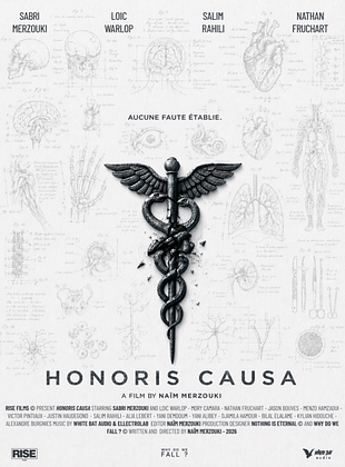 poster du film Honoris Causa