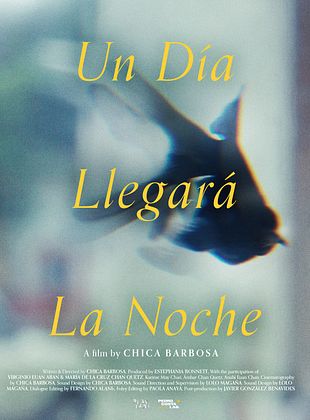 poster du film Un día llegará la noche
