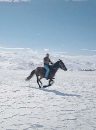 Five Dreamers and a Horse