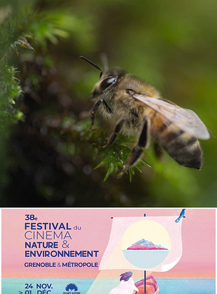 poster du film Vivre Ensemble : S’inspirer du vivant – Festival du Cinéma Nature et Environnement  2024