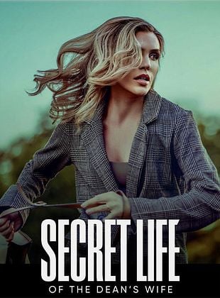 poster du film La vie secrète d'une famille parfaite