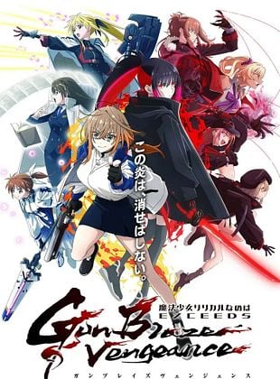 poster de la série Magical Girl Lyrical Nanoha EXCEEDS Gun Blaze Vengeance