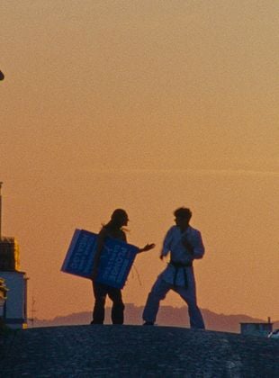 poster du film No skate!