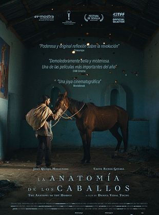 poster du film The Anatomy of the Horses