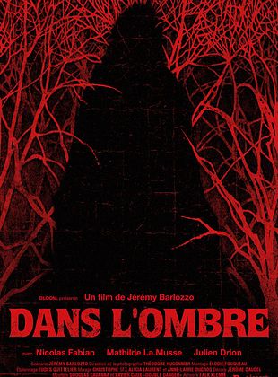 poster du film Dans l’ombre