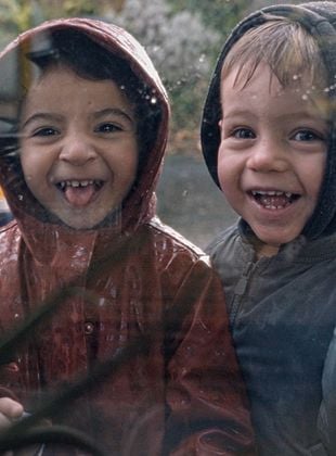 poster du film La Petite classe