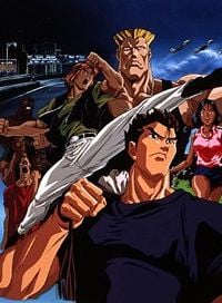 Street Fighter II - V - La série intégrale non censurée