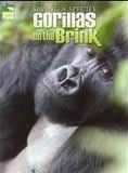 Saving a Species : Gorillas on the Brink