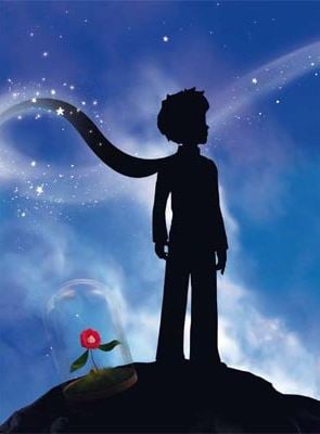 Le Petit Prince - Coffret de 5 Films - Edition Spéciale Fnac