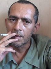 poster du film LES PINS EN QUARANTAINE