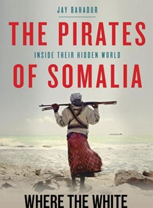 The Pirates of Somalia by Jay Bahadur