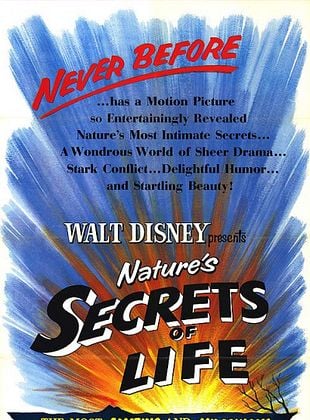 poster du film Les Secrets de la vie