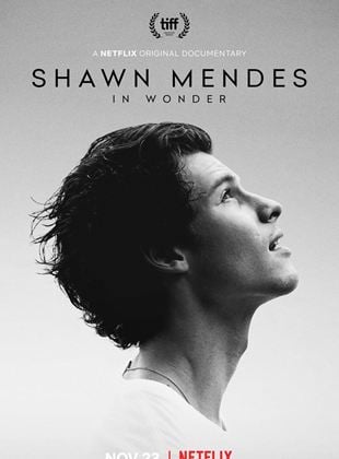 Shawn Mendes: In Wonder streaming