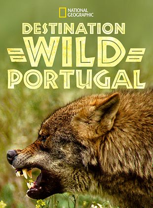 poster du film Destination Wild: Portugal