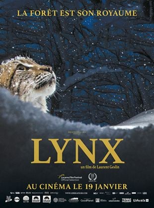 Lynx en streaming