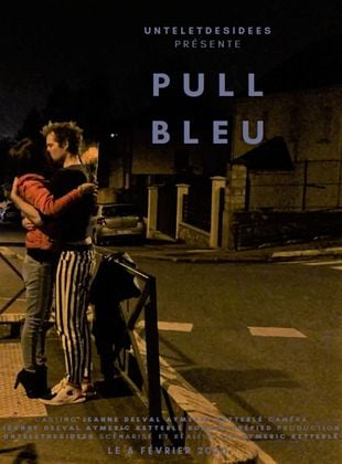 poster du film Pull Bleu