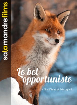 Le Bel Opportuniste